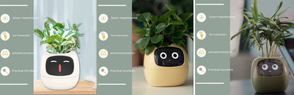 Smart Planter - Over 49 Rich Expressions - 7 Smart Sensors