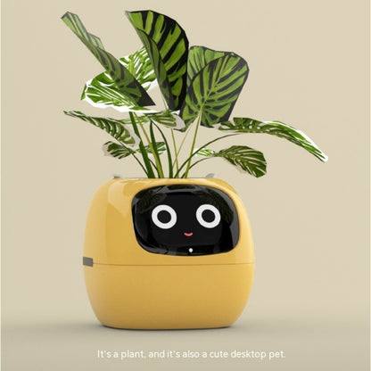 Smart Planter - Over 49 Rich Expressions - 7 Smart Sensors