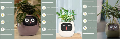 Smart Planter - Over 49 Rich Expressions - 7 Smart Sensors