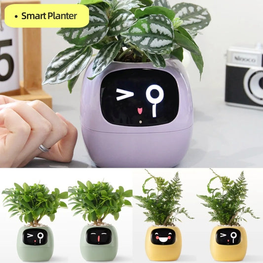 Smart Planter - Over 49 Rich Expressions - 7 Smart Sensors