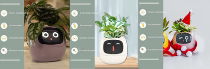 Smart Planter - Over 49 Rich Expressions - 7 Smart Sensors