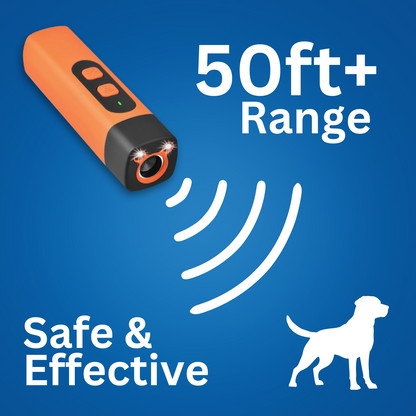 Mini Handheld Training Torch – Compact LED Light & Pet Training Tool in One