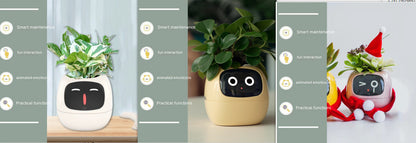 Smart Planter - Over 49 Rich Expressions - 7 Smart Sensors