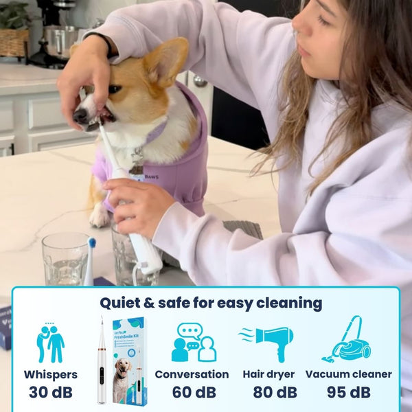 BrightBite™ Dog Dental Kit